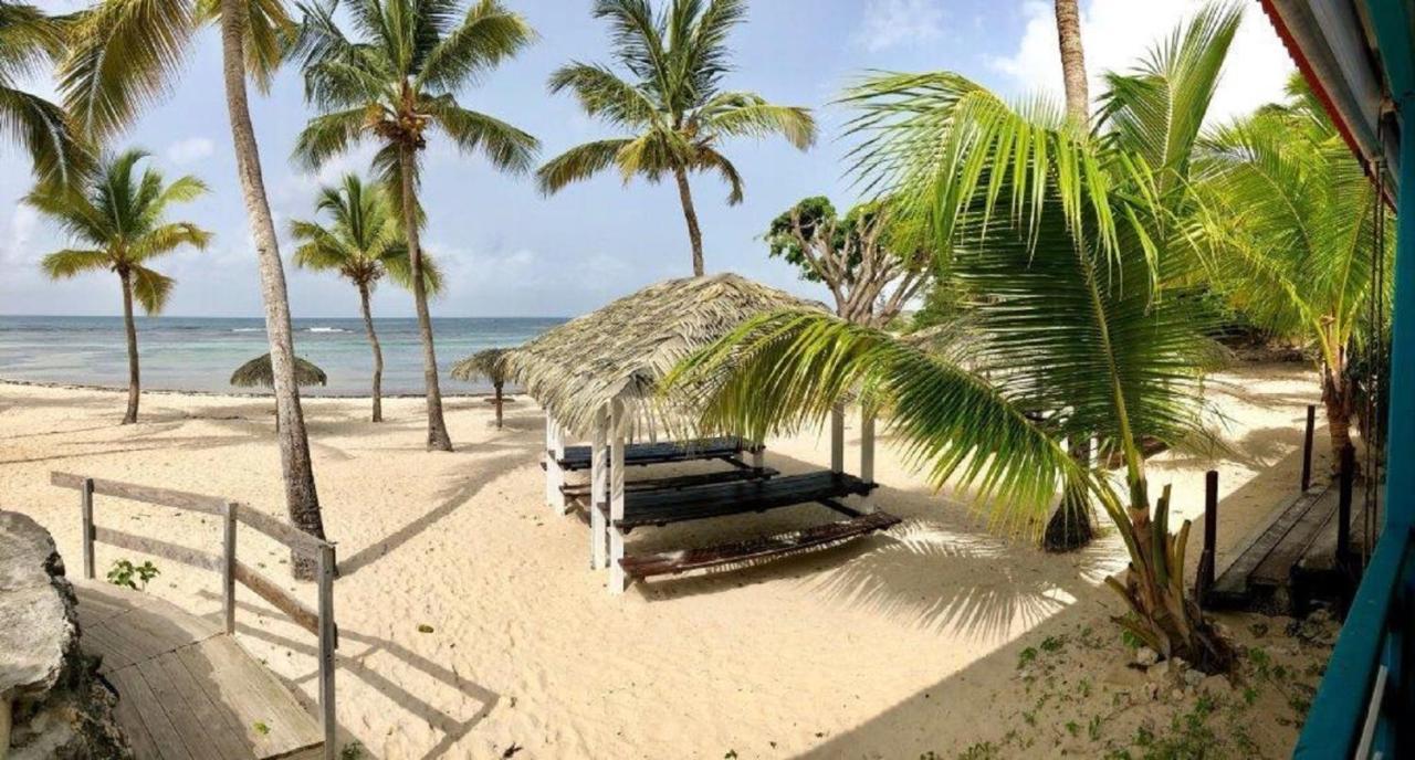 Studio Mojito Vue Mer,Piscine Avec Cuve Eau Et Acces Plage Et Piscine Anse Des Rochers Saint-Francois  Bagian luar foto